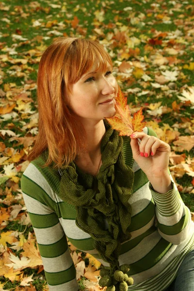 Grüner Baum — Stockfoto