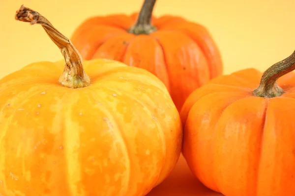 Calabaza naranja — Foto de Stock