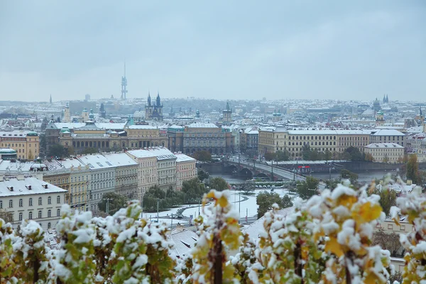 Vista para Praga — Fotografia de Stock