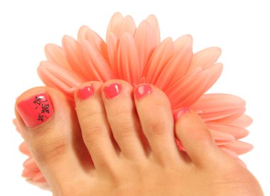 yeşil ve pembe
