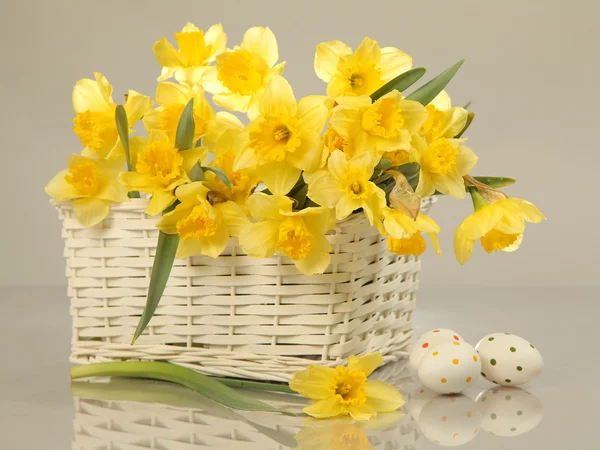 Yellow petal — Stock Photo, Image