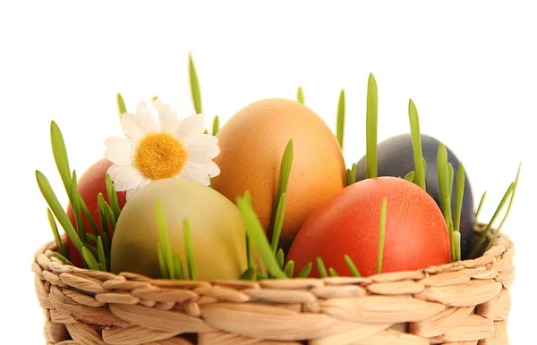 Bright eggs on white — Stock Photo, Image