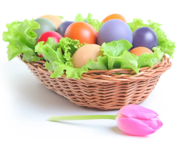 Colored eggs — Stock Photo, Image