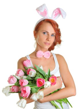 pembe tavşan