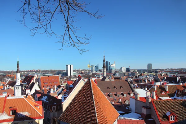 Skyline of Tallinn — Stock Photo, Image