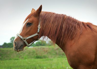 at