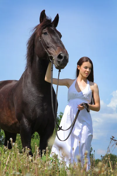 馬と歩く — ストック写真