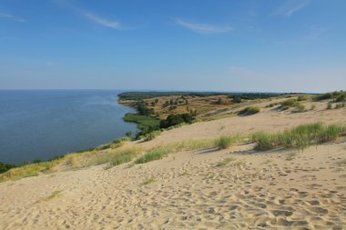 Curonian