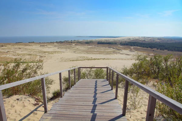 The Curonian Spit — Stock Photo, Image