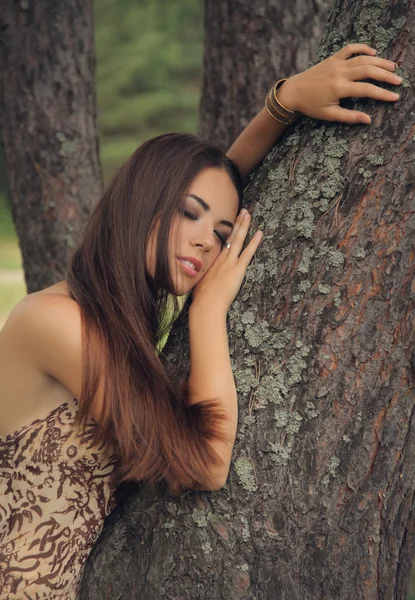 Otoño — Foto de Stock