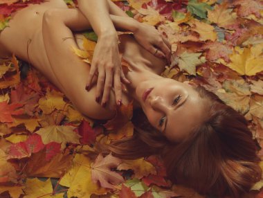seksi sonbahar
