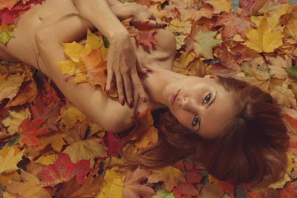 Sexy otoño — Foto de Stock