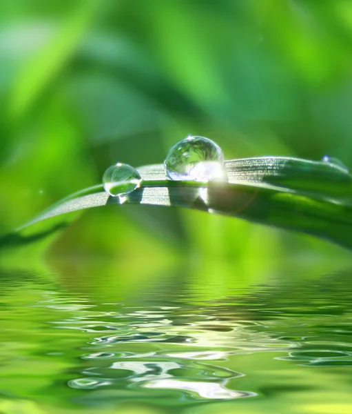 Agua. — Foto de Stock