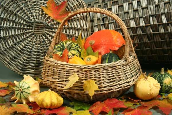 Autumn leaves and pumpkins — Stock Photo, Image