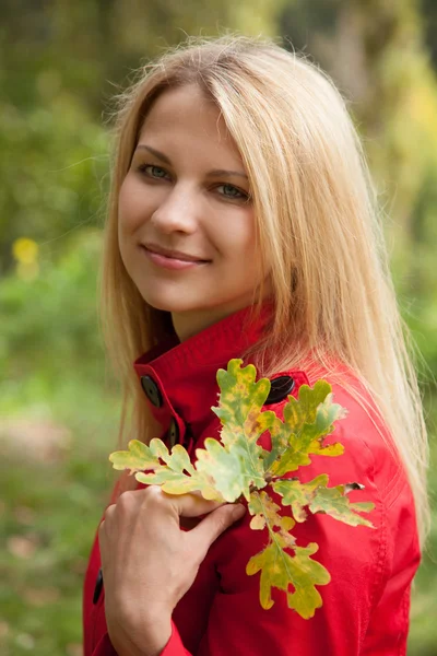 Zonnige park — Stockfoto