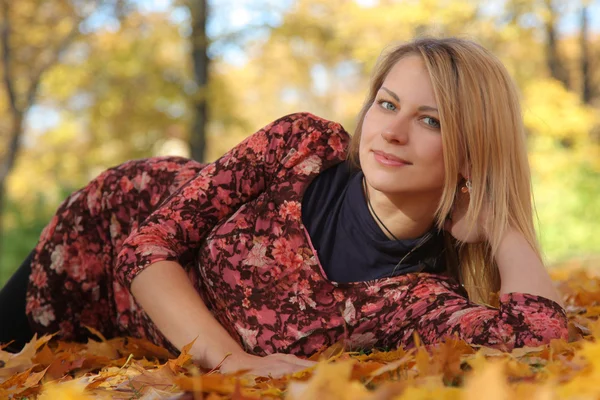 Colorful park — Stock Photo, Image