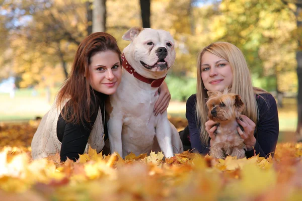 Filles avec des chiens — Photo