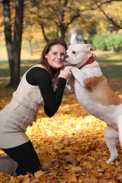 Sahibi ve köpek — Stok fotoğraf