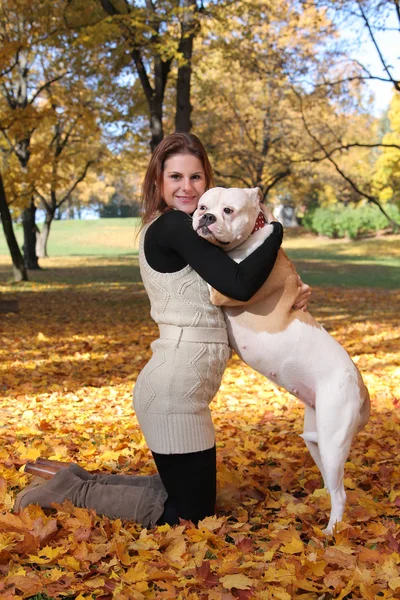 Weißer Hund — Stockfoto