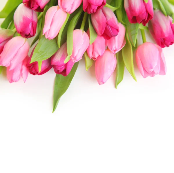 꽃으로 뒤덮인 배경 — 스톡 사진