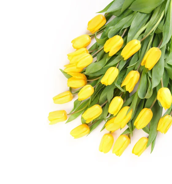 Flowers — Stock Photo, Image