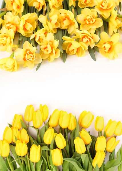 Yellow and yellow — Stock Photo, Image
