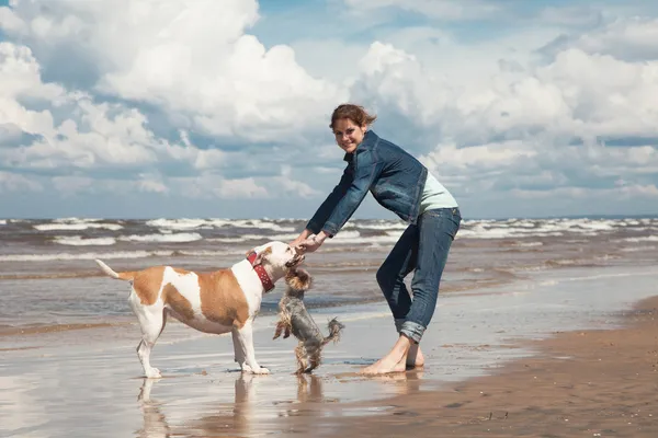 Jouer avec des chiens — Photo