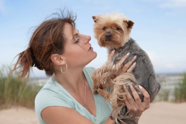 sevimli köpek yavrusu