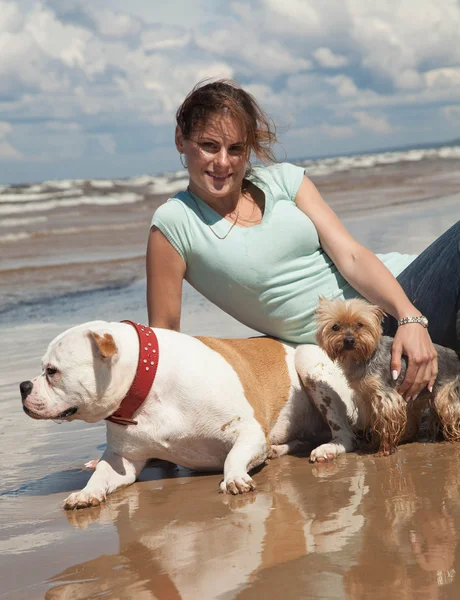 Dogs and woman — Stock Photo, Image
