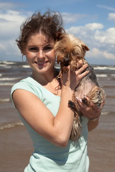 Grappige yorkie — Stockfoto