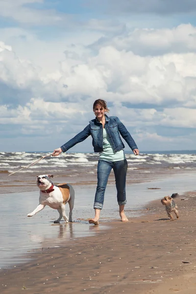 Vrouw en honden — Stockfoto