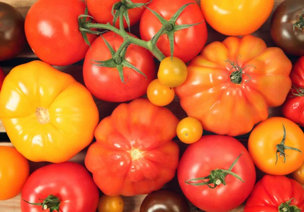 Big tomatoes — Stock Photo, Image