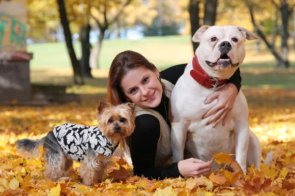 With dogs — Stock Photo, Image