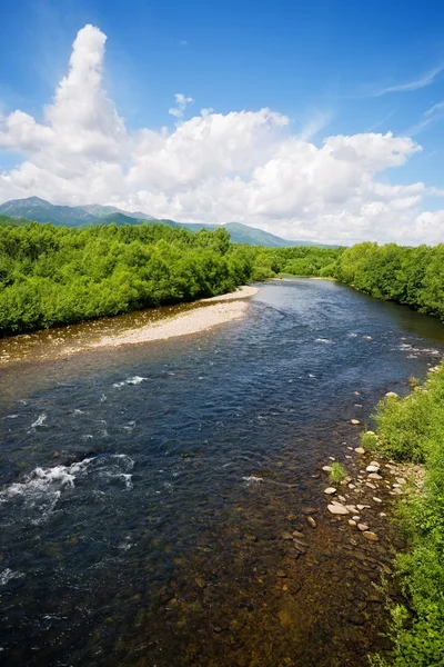 Rivière paysage d'été — Photo