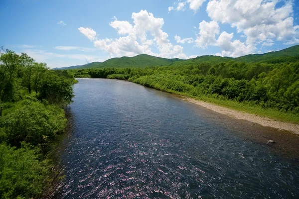 Río verano paisaje — Foto de Stock