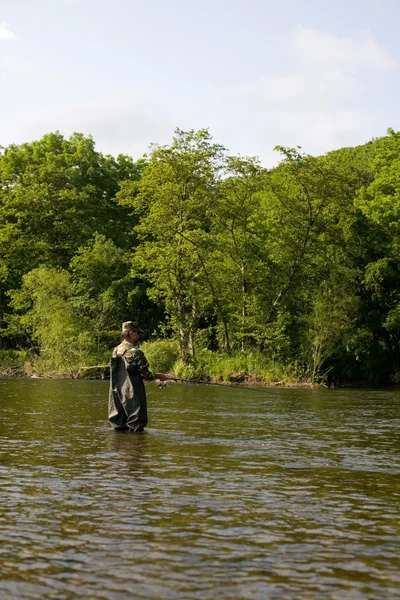 Prises de saumons par les pêcheurs — Photo