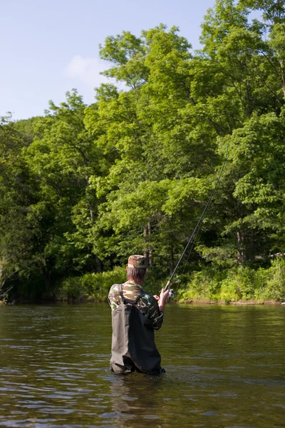 Visser trekt gevangen zalm — Stockfoto