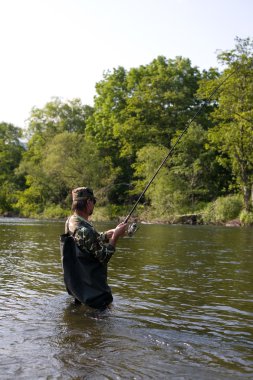 Somon balıkçı çeker yakalandı.