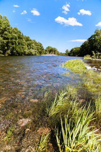 Zomer landschap met de rivier — Stockfoto