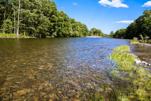 Bellissimo paesaggio estivo — Foto Stock