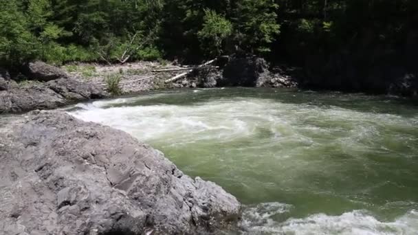 Schnelles Fließen des Gebirgsflusses in einem wilden Gebiet. — Stockvideo