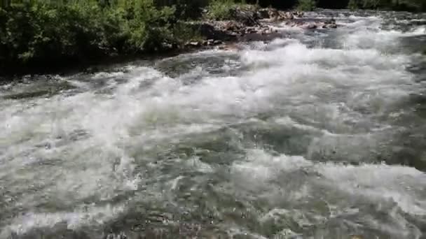 Γρήγορη ροή του ποταμού βουνό σε μια άγρια περιοχή. — Αρχείο Βίντεο