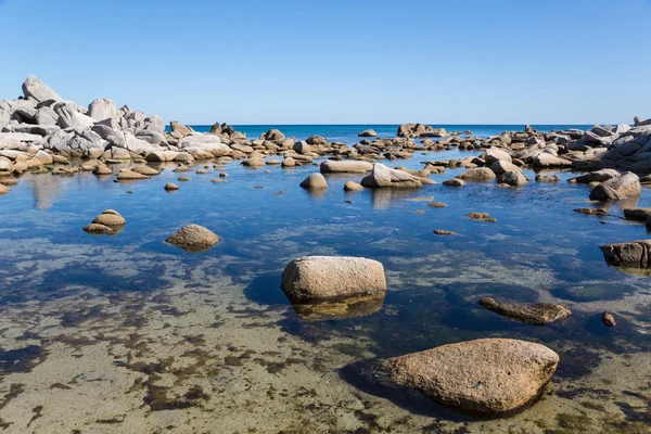 Paesaggio estivo di costa rocciosa — Foto Stock