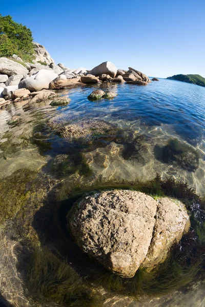 Paisaje de verano de costa marina . — Foto de Stock