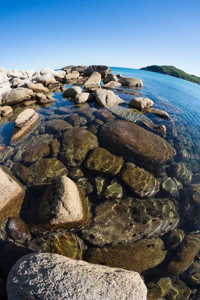 海沿岸の夏の風景. — ストック写真