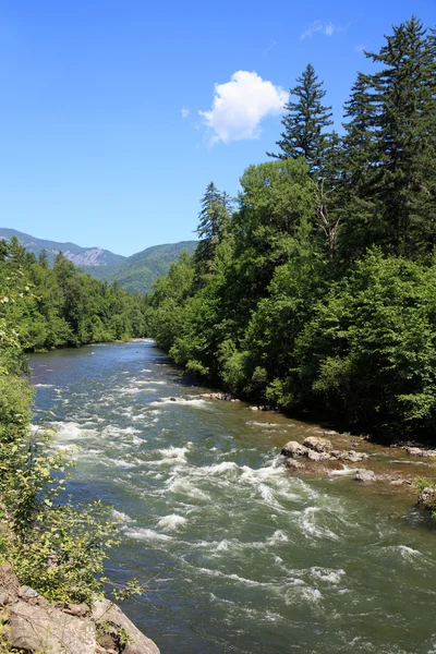 Río paisaje de verano con cielo azul brillante — Foto de Stock