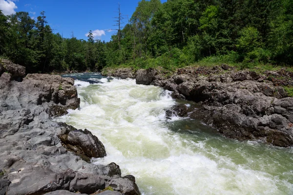 Rivière paysage d'été — Photo