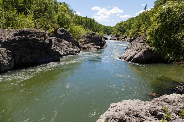 Floden sommar landskap — Stockfoto