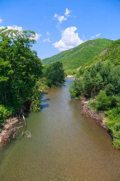 Río verano paisaje — Foto de Stock