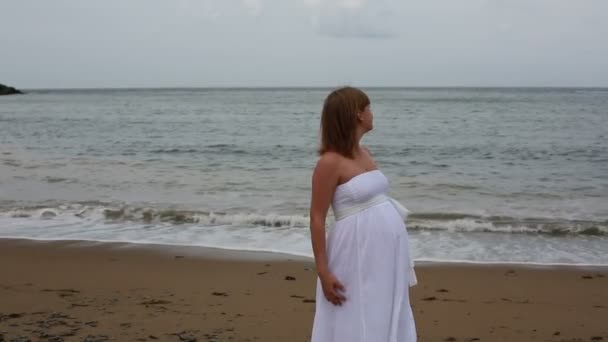 快乐怀孕的妇女和她的丈夫在海岸上. — 图库视频影像